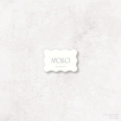 Magnetic Attraction: Wedding Place Card