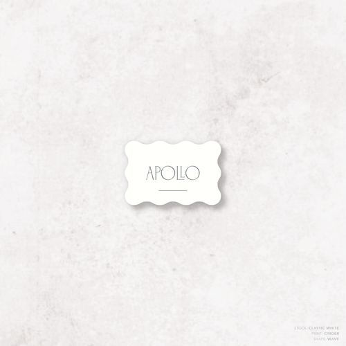 Magnetic Attraction: Wedding Place Card